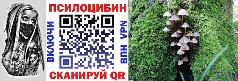 hydra tor  нарко площадка телеграм  Галлюциногенные грибы Magic Shrooms  купить   Фёдоровский 